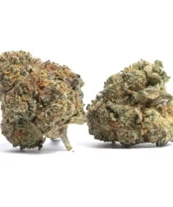 Blue Dream Strain