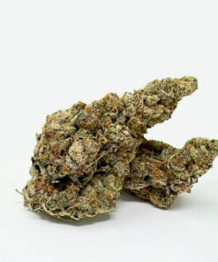 Blue Dream Strain