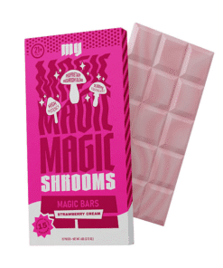 magic mushroom chocolate