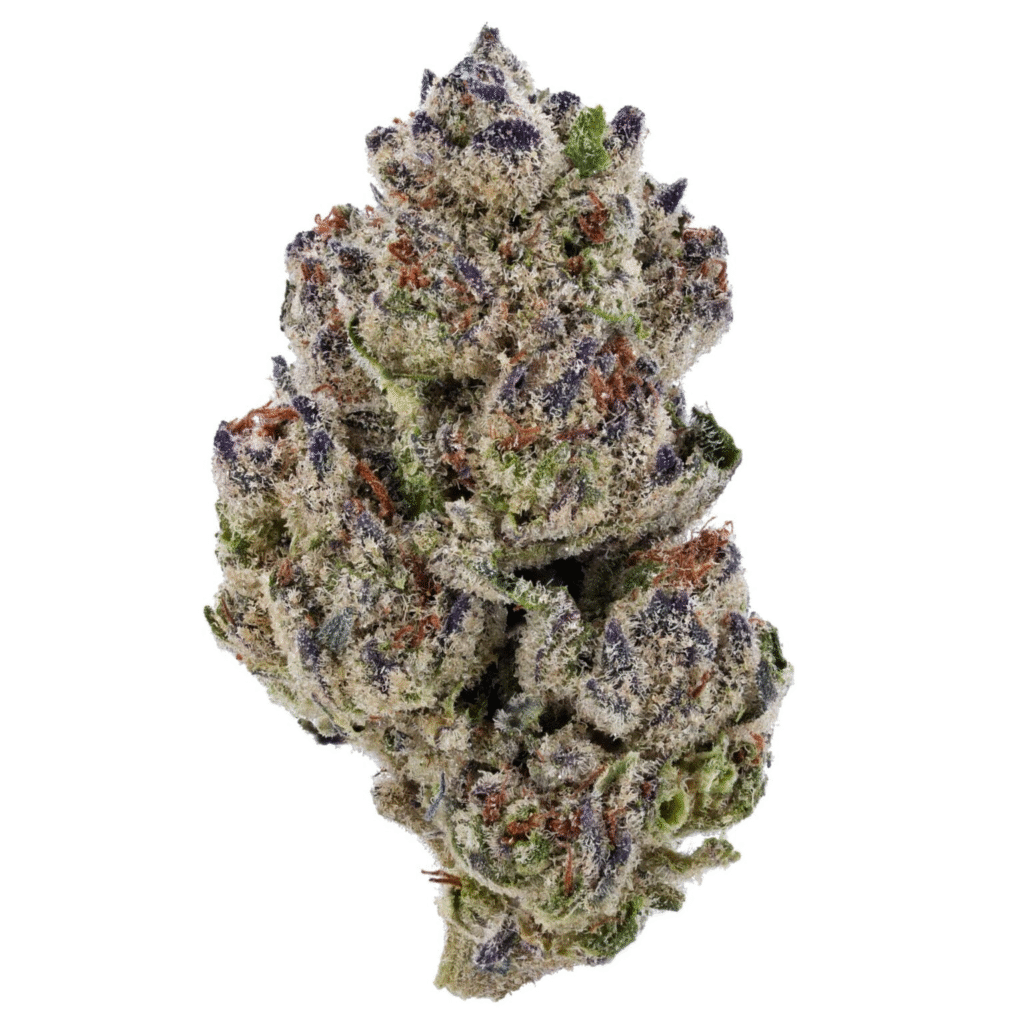 Girl Scout Cookies Strain