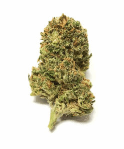 OG Malawi Haze Strain