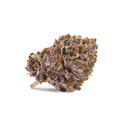 Pink Kush Strain