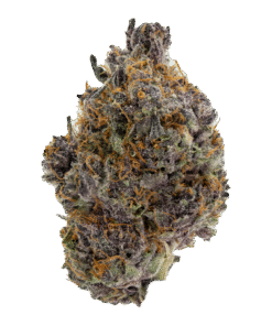 Tropicana Cookies Strain