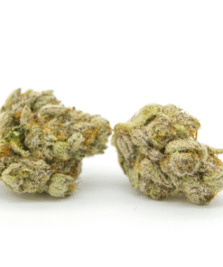 Trainwreck Kush Strain