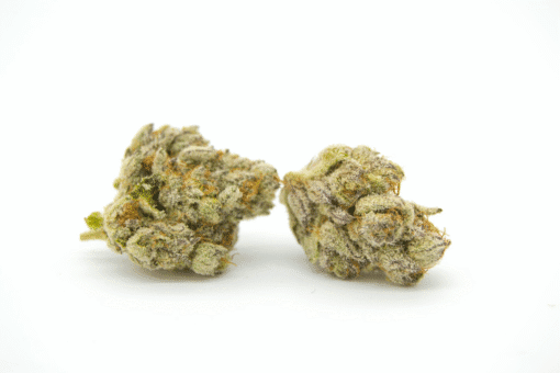 Trainwreck Kush Strain