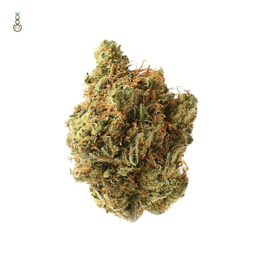 Amnesia Haze Strain