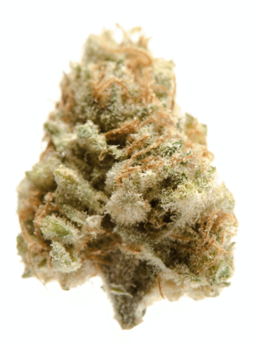 Banana Kush Strain