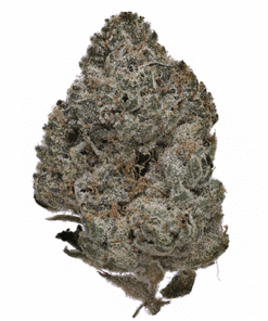 Juicy Wreck Kush Strain