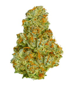 Sour Diesel Strain
