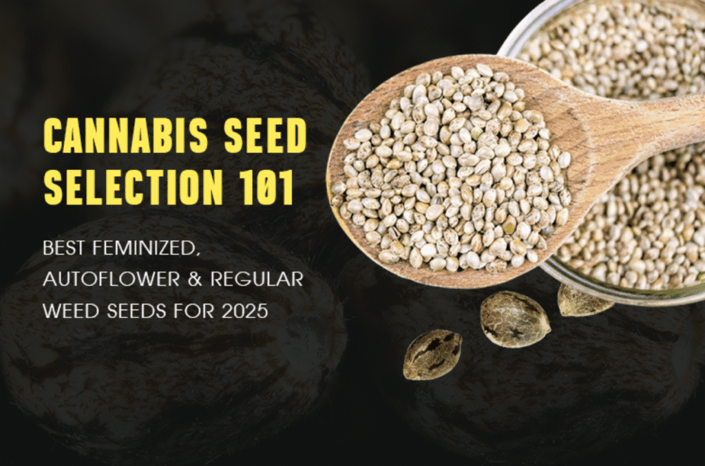 how to germinate autoflower seeds