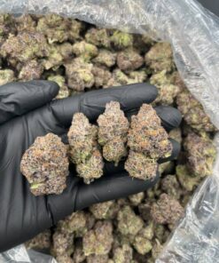 Guava gas