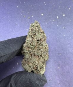 B10 Banana Pie