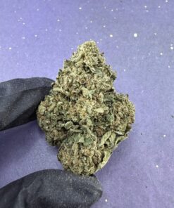 B09 Jet Fuel