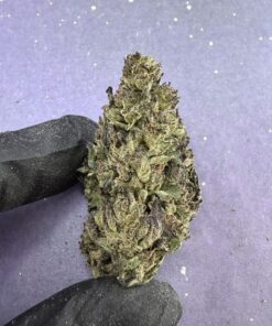 B07 Sherbcream Pie