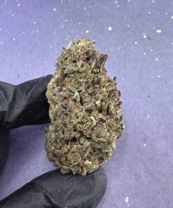 B04 Papaya Punch