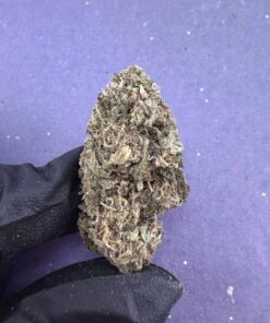 B06 Moon Kushh