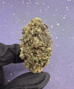 B13 Lemon Haze
