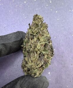 B07 Sherbcreame Pie