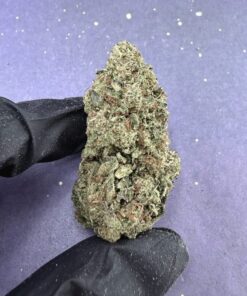 B05 Lemonn Cherry Bx1