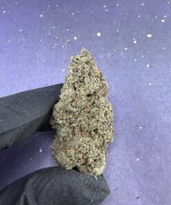 B10 Bananaa Pie