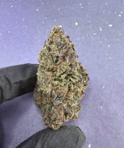 B14 Modified Grape