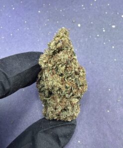 B30 Glitter Bomb