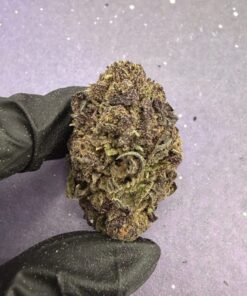 B33 Black Ice Cookies