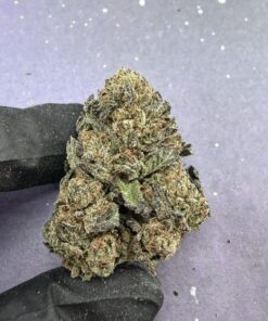 B29 Mochi