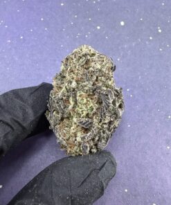 B26 Black ICE Cake