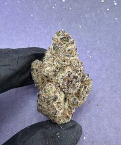 Grape Gas (B55)