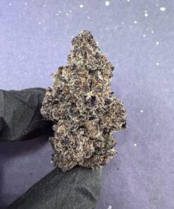 B48 Glitter Pop