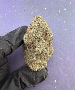 B40 Candy LCG