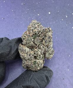 B52 Purple Runtz
