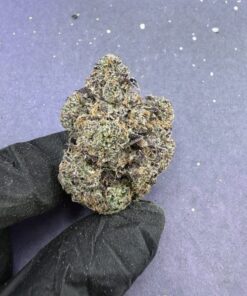 B58 Candy Runtz