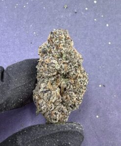 B71 Cotton Candy