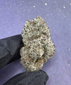 B67 Monster Cookies