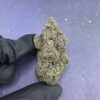 B62 Blockberry