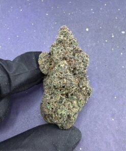 B62 Blockberry
