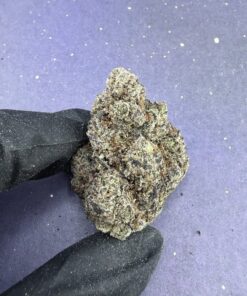 B79 Pink Zlushie