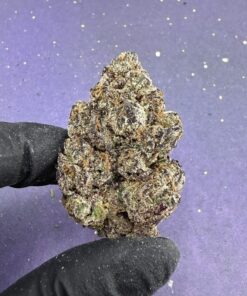 Exotic Candy LCG (B81)