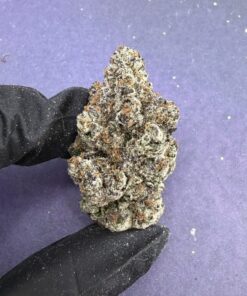 B80 Candy Gelato 33