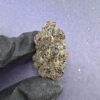 B84 Dolce Gelato